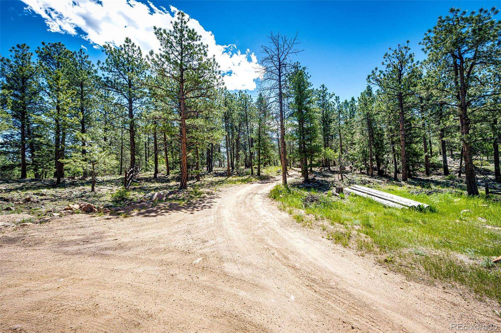 1.33 Acres of Residential Land for Sale in Pine Grove, Colorado