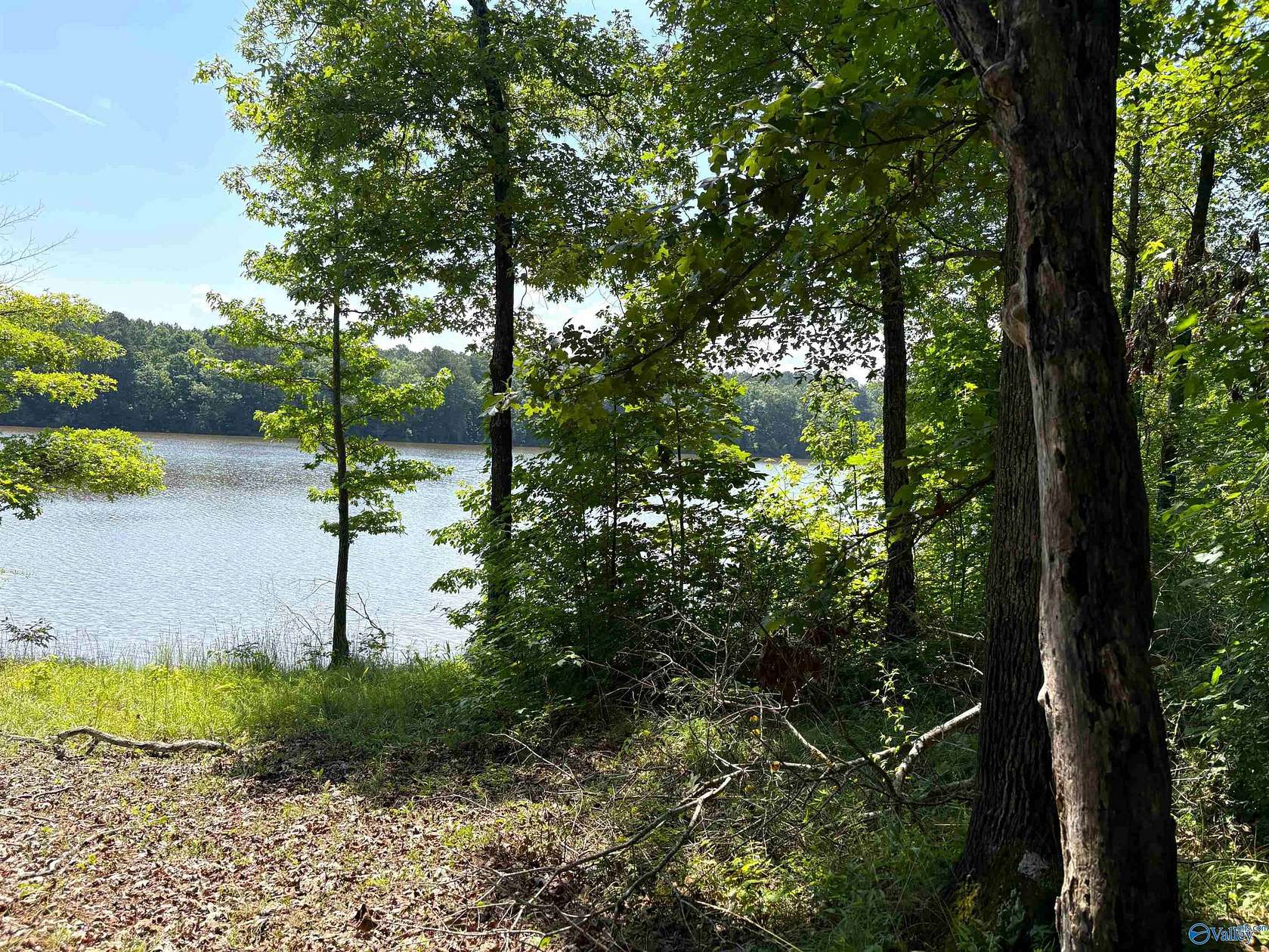 62 Acres of Recreational Land for Sale in Cedar Bluff, Alabama