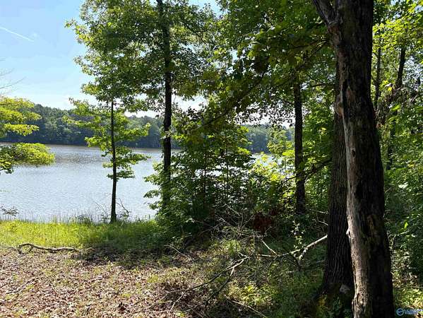 62 Acres of Recreational Land for Sale in Cedar Bluff, Alabama