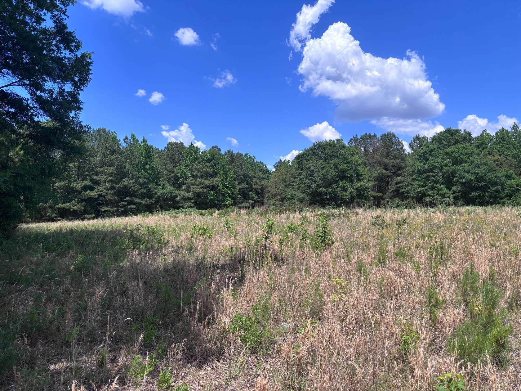 17 Acres of Land for Sale in Lancaster, South Carolina