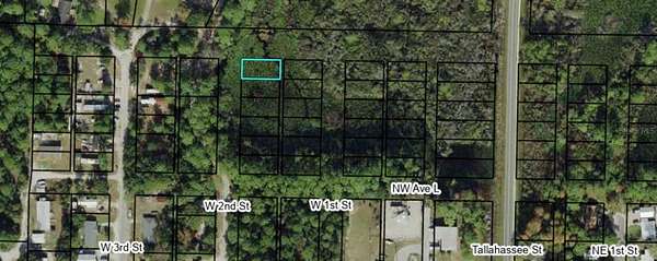 0.11 Acres of Residential Land for Sale in Carrabelle, Florida