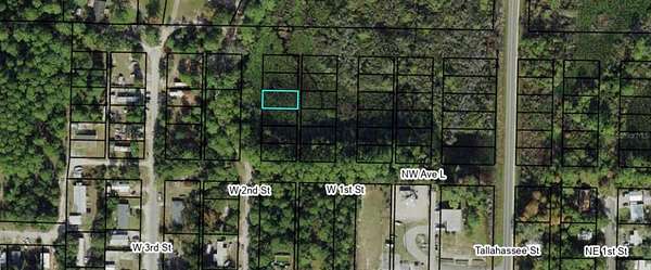0.11 Acres of Residential Land for Sale in Carrabelle, Florida
