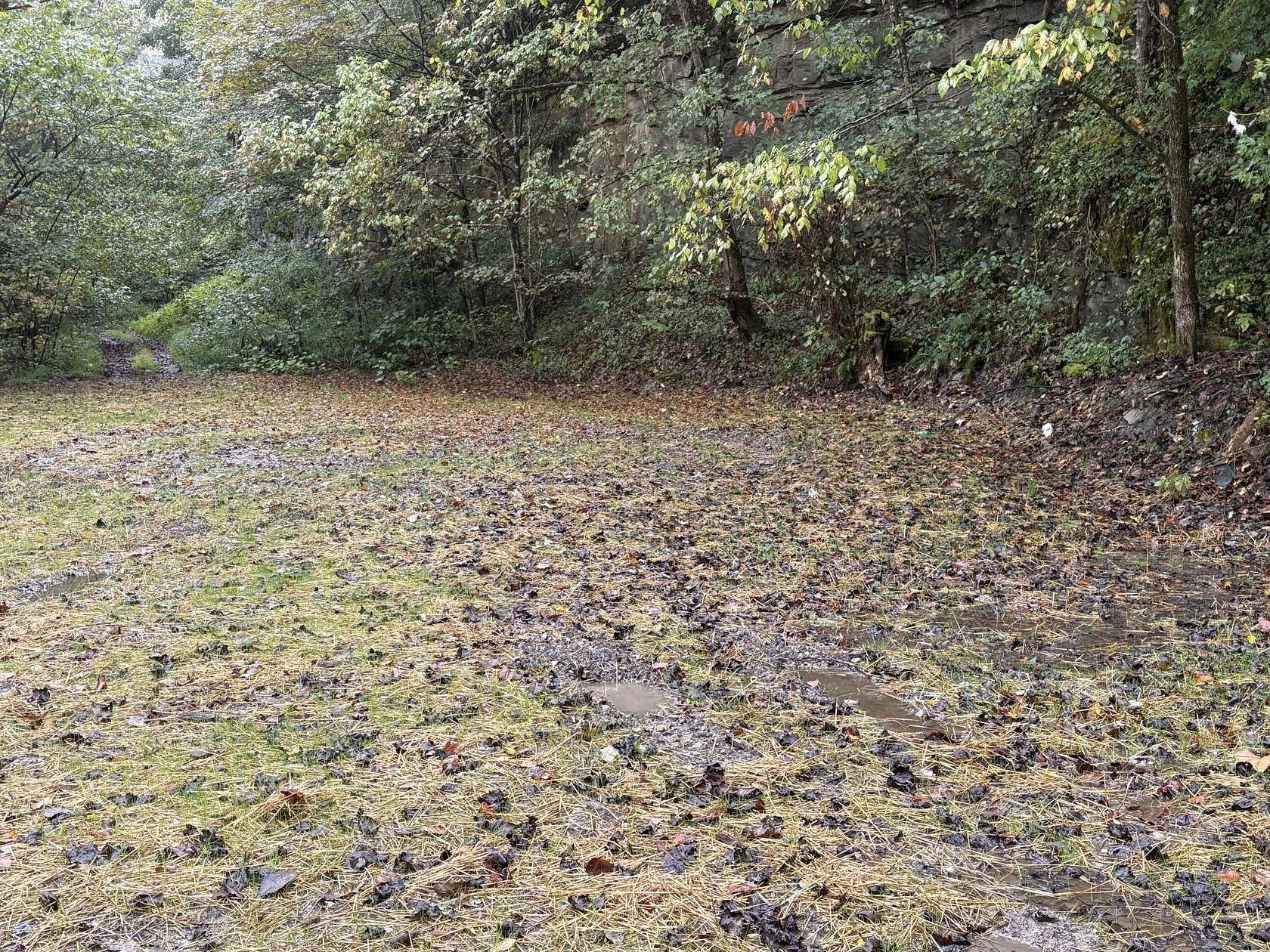 18.8 Acres of Land for Sale in Shelbiana, Kentucky