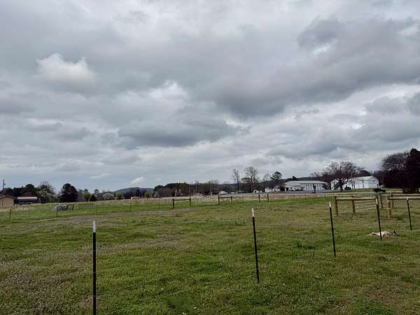 5.18 Acres of Residential Land for Sale in Charleston, Tennessee