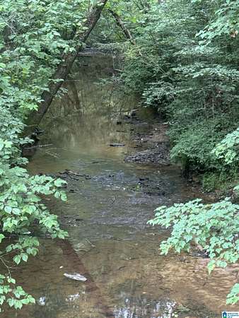 17 Acres of Recreational & Residential Land for Sale in Ragland, Alabama