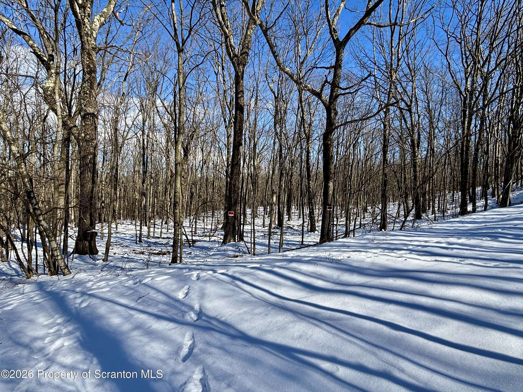 0.92 Acres of Residential Land for Sale in Archbald, Pennsylvania