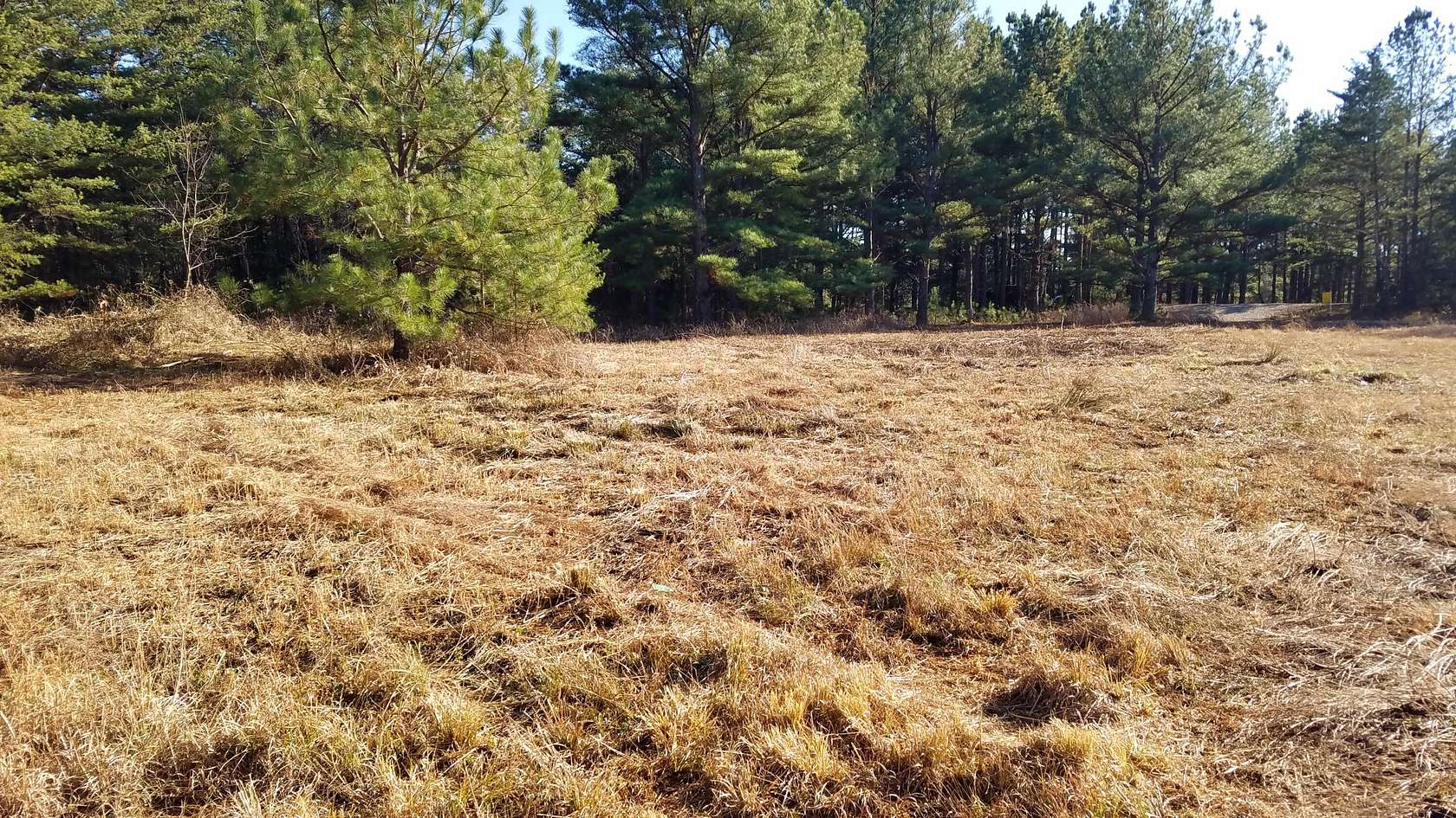 25.9 Acres of Recreational Land for Sale in Williamsburg, Kentucky