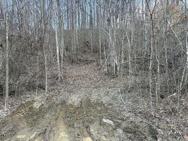 6.64 Acres of Recreational Land for Sale in Irvine, Kentucky