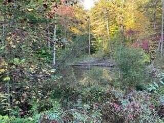 29.3 Acres of Recreational Land for Sale in Blaine, Kentucky