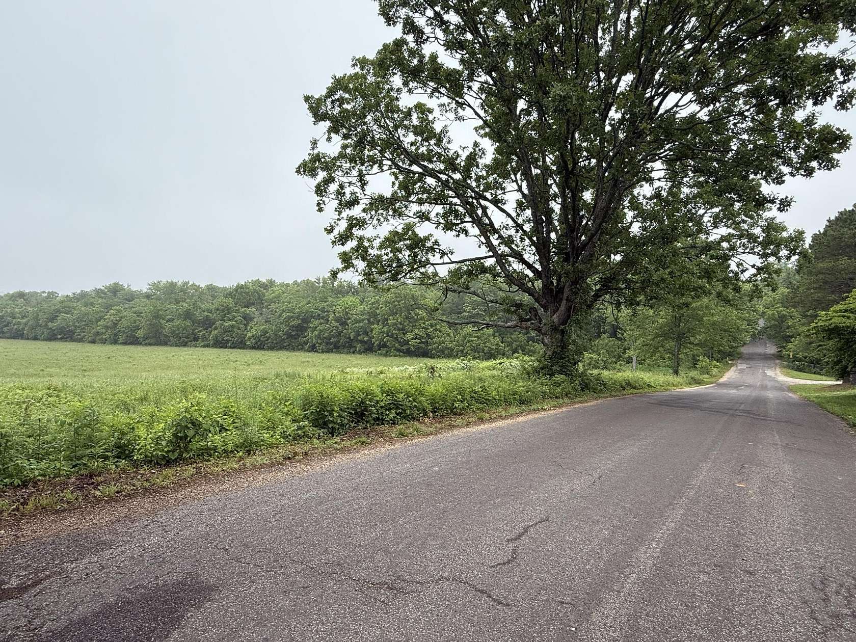 18 Acres of Land for Sale in Mountain View, Missouri