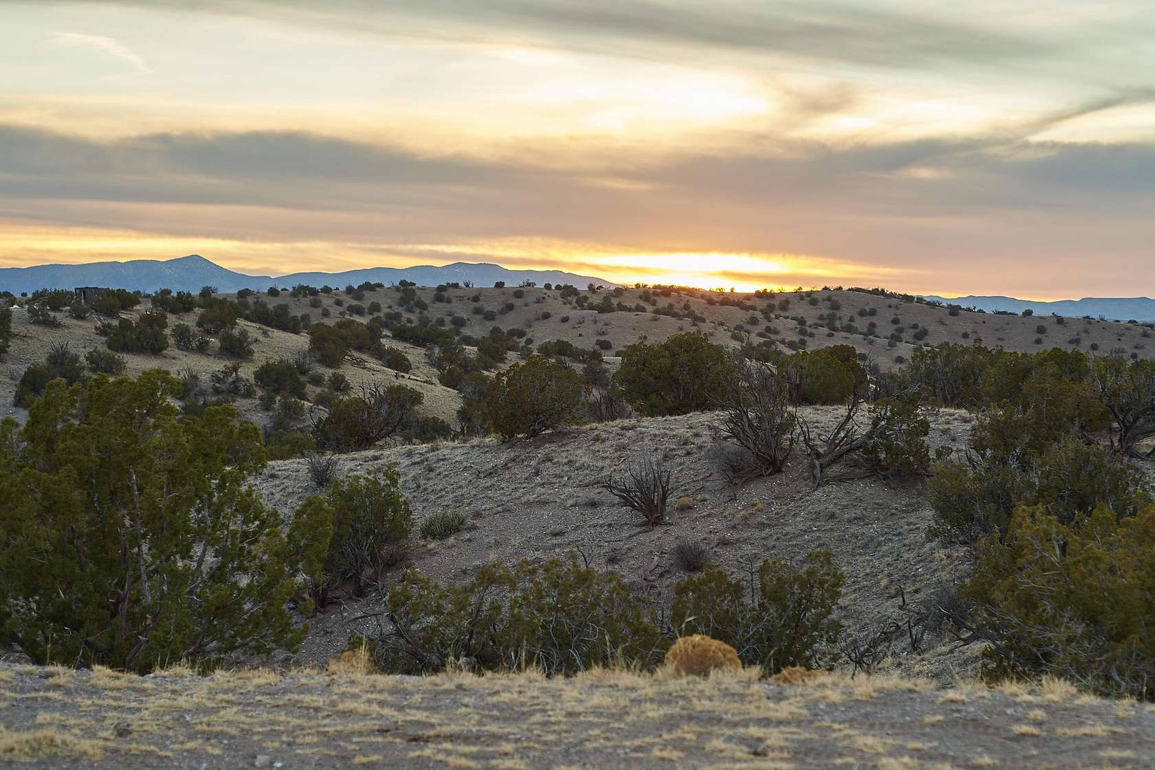30.2 Acres of Recreational & Residential Land for Sale in Magdalena, New Mexico