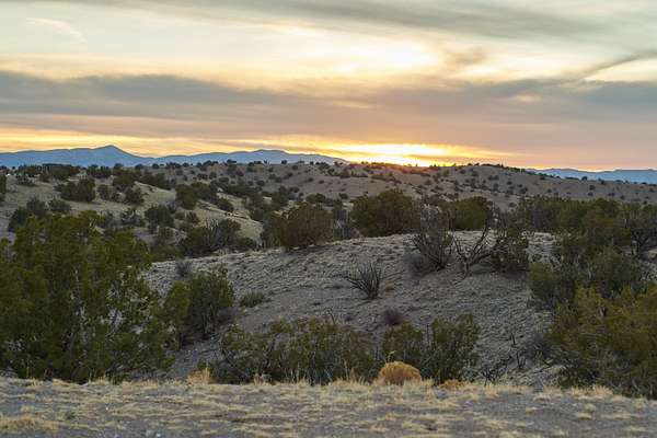 30.2 Acres of Recreational & Residential Land for Sale in Magdalena, New Mexico