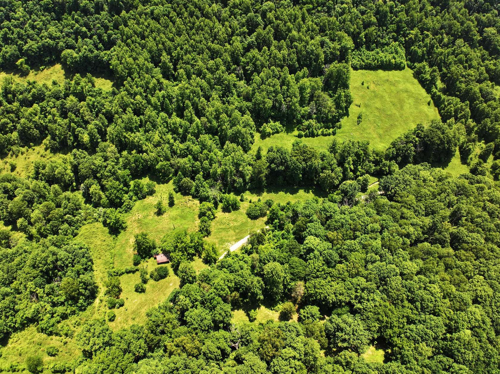 55.5 Acres of Land for Sale in Irvine, Kentucky