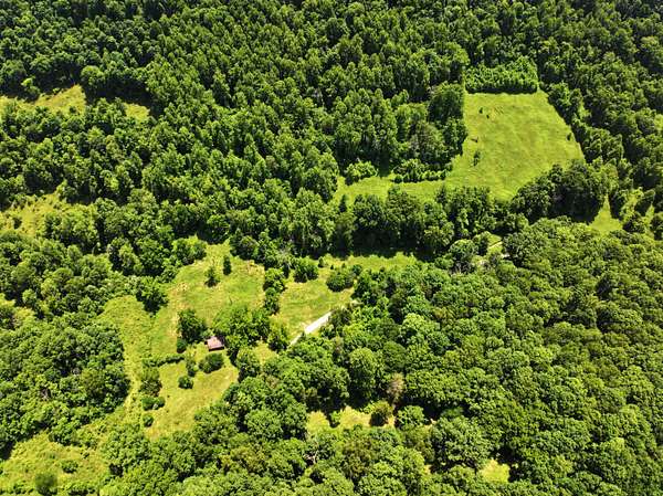 55.5 Acres of Land for Sale in Irvine, Kentucky