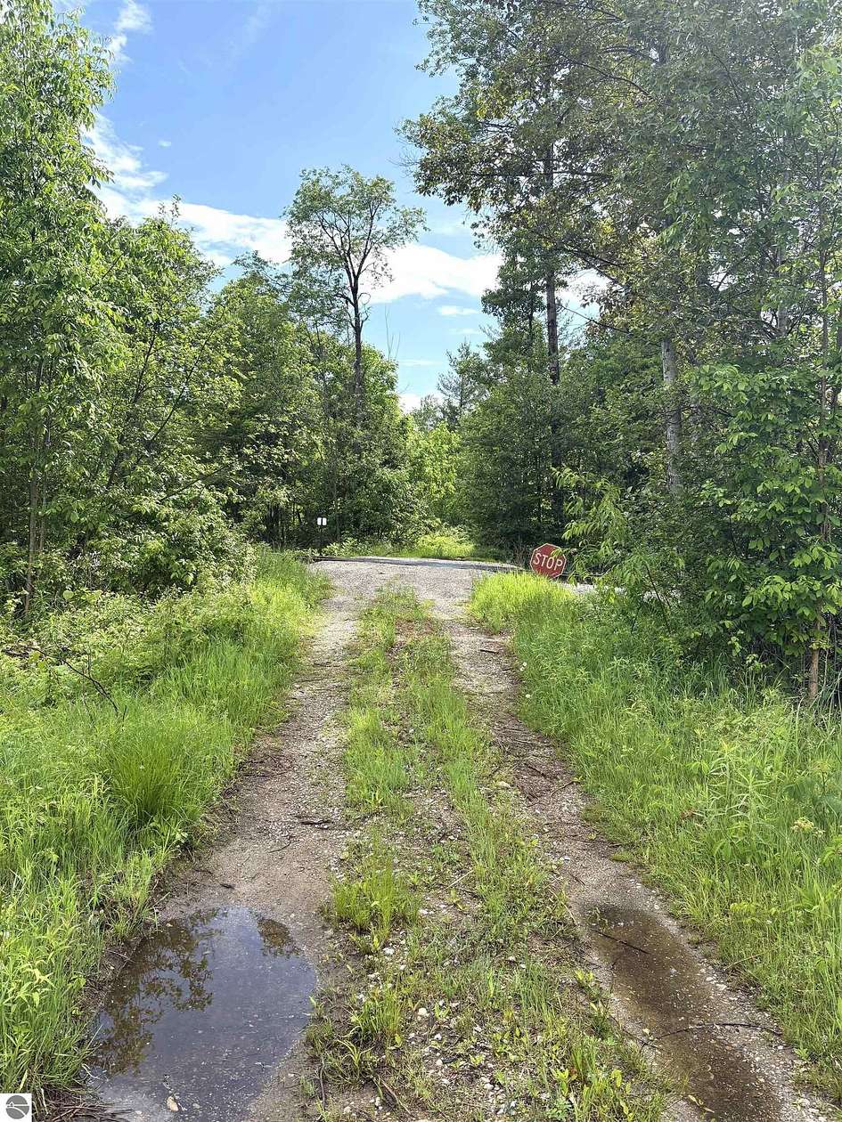40 Acres of Recreational Land for Sale in West Branch, Michigan