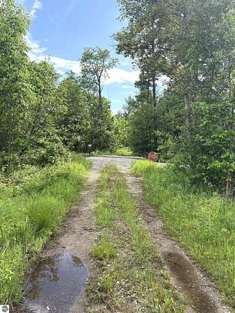 40 Acres of Recreational Land for Sale in West Branch, Michigan