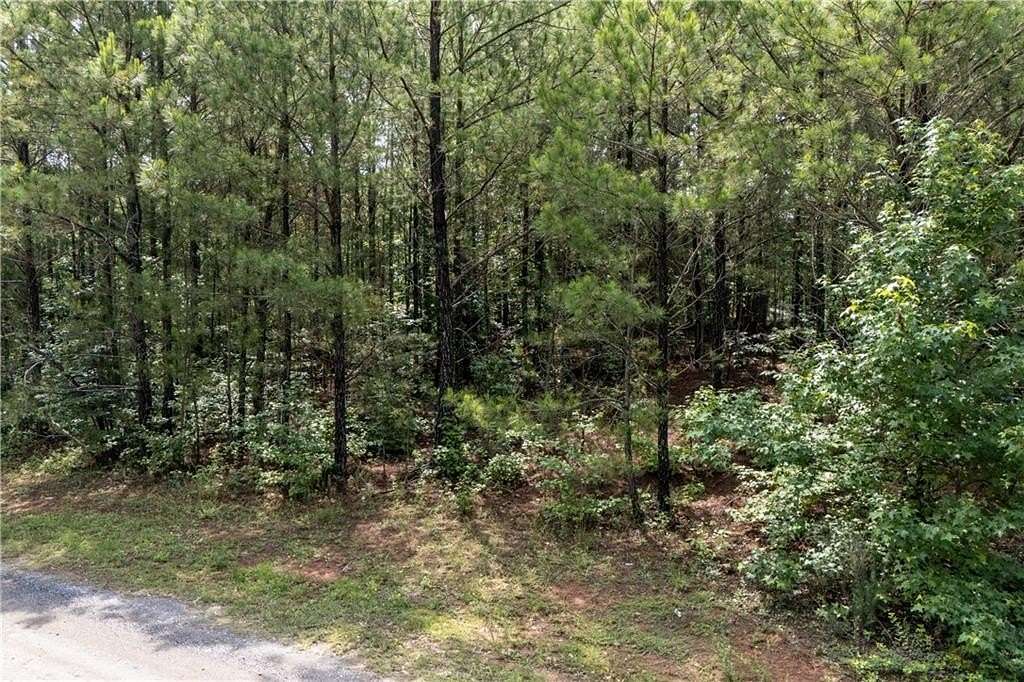 3.6 Acres of Residential Land for Sale in Palmetto, Georgia