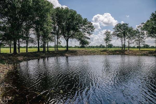 1,021 Acres of Land for Sale in Mexia, Texas