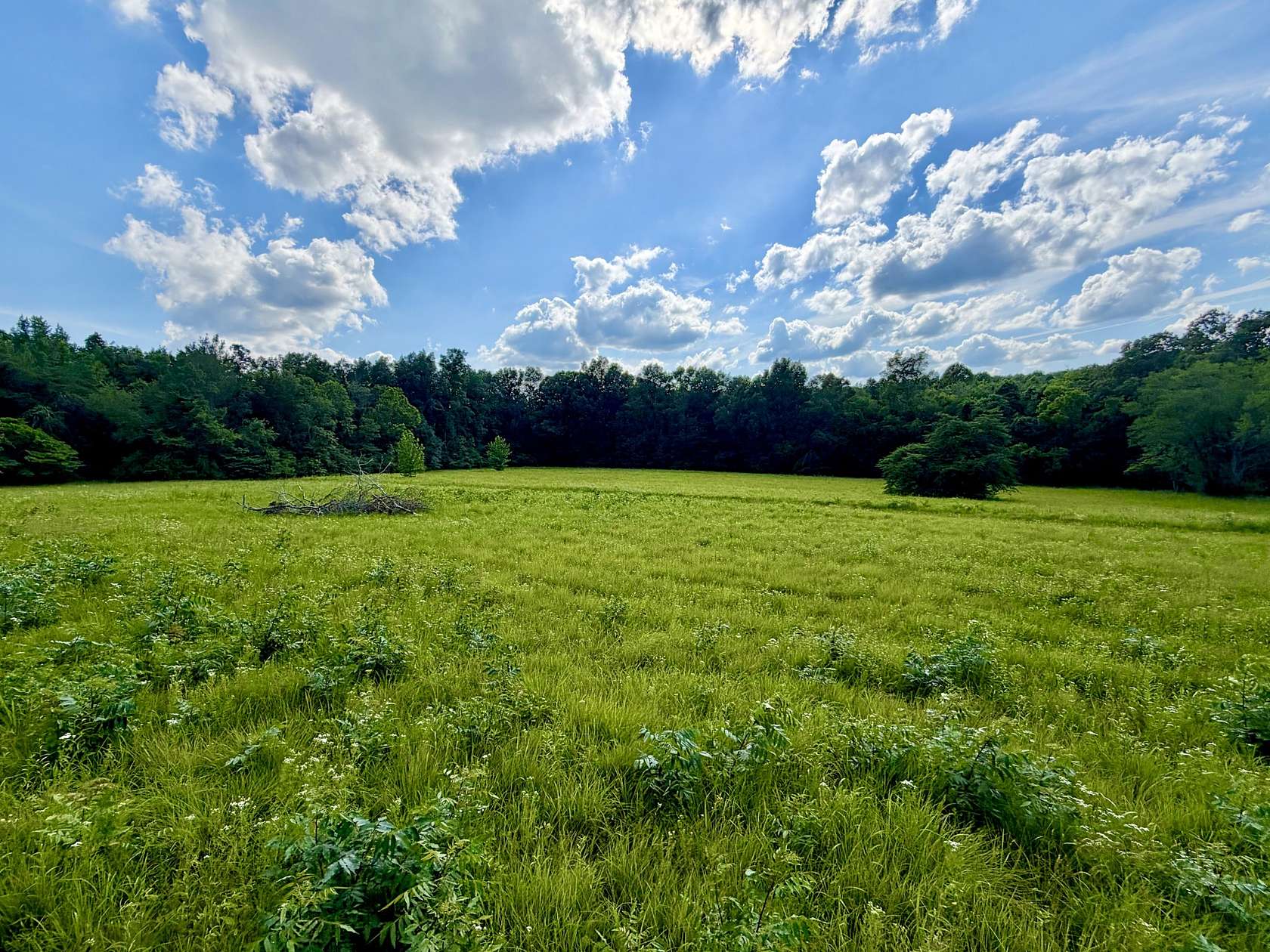 15 Acres of Land for Sale in Fairview, Tennessee