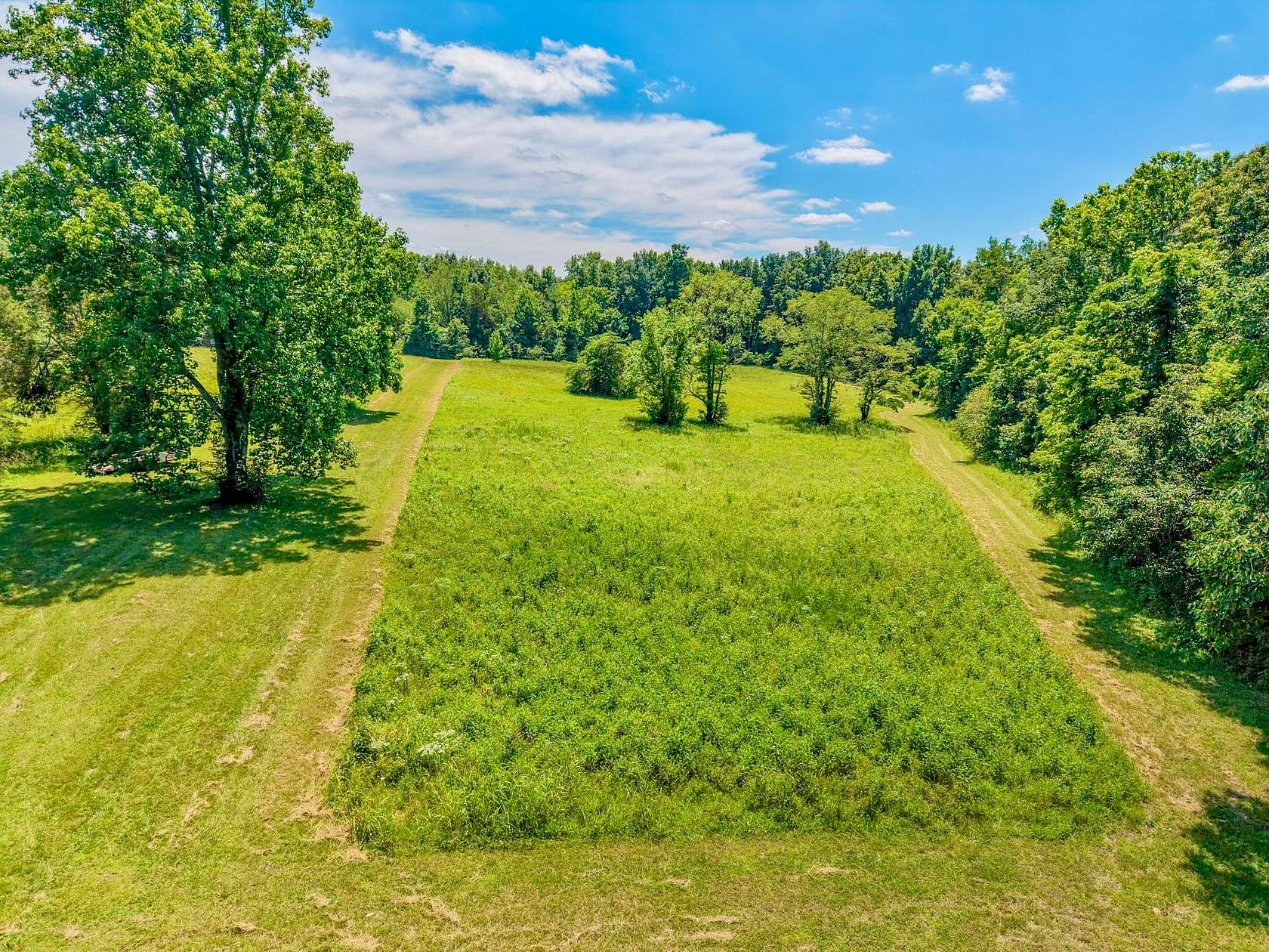 15 Acres of Land for Sale in Fairview, Tennessee