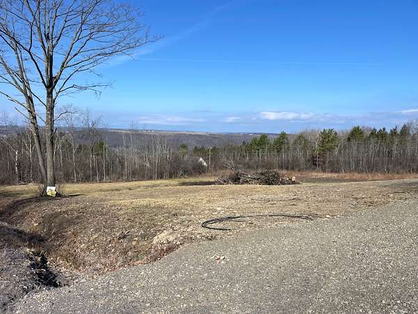 16.9 Acres of Land for Sale in Dundee, New York