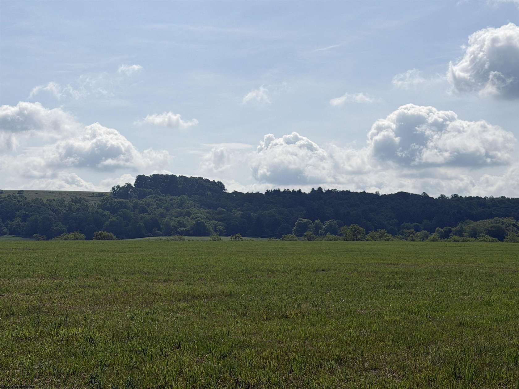 25 Acres of Recreational & Residential Land for Sale in Bruceton Mills, West Virginia