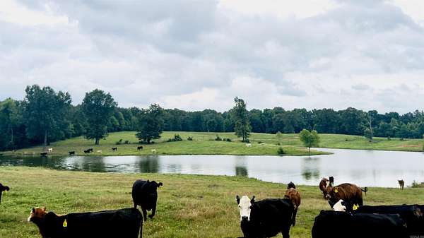 100 Acres of Land for Sale in Dierks, Arkansas