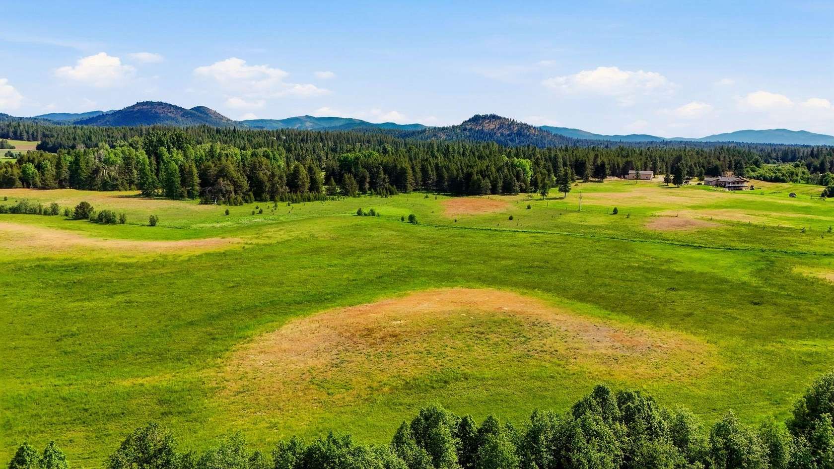 40 Acres of Recreational & Residential Land for Sale in Newport, Washington