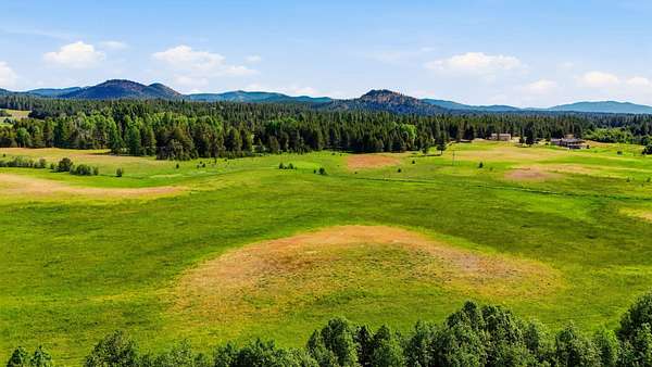 40 Acres of Recreational & Residential Land for Sale in Newport, Washington