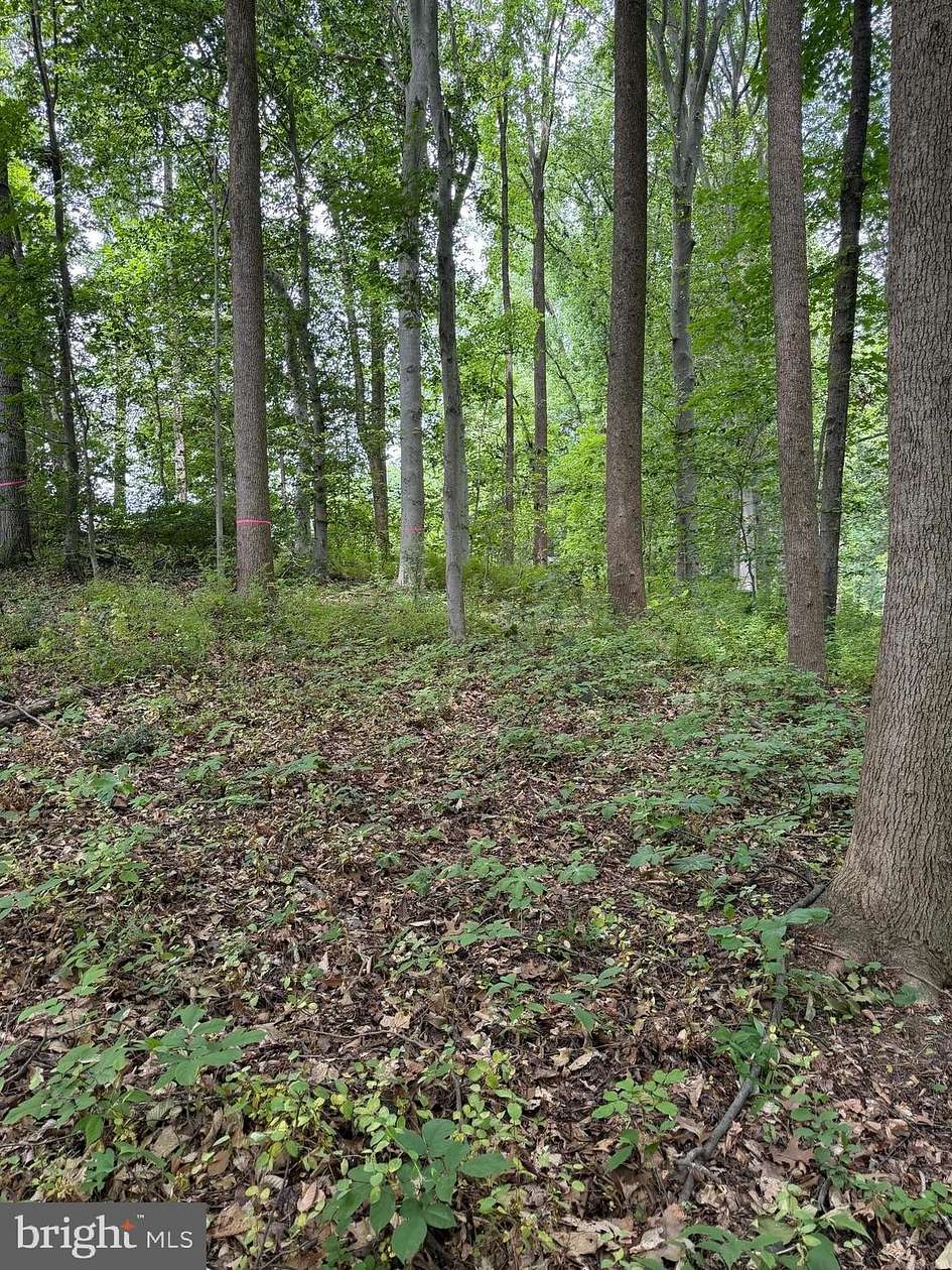 2.37 Acres of Residential Land for Sale in Conowingo, Maryland