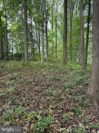 2.37 Acres of Residential Land for Sale in Conowingo, Maryland