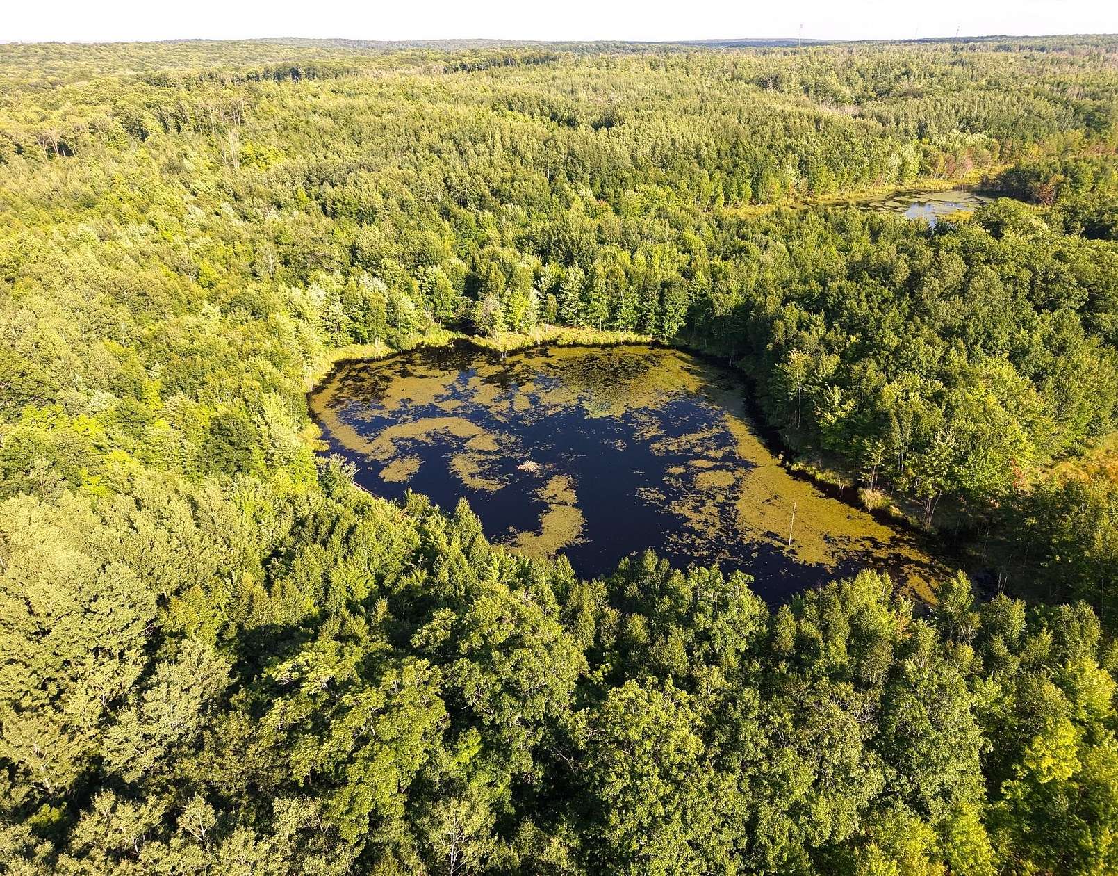 80 Acres of Recreational Land for Sale in Exeland, Wisconsin