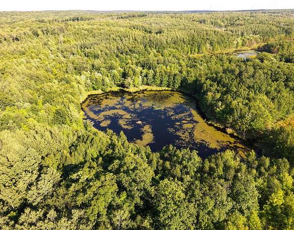 80 Acres of Recreational Land for Sale in Exeland, Wisconsin