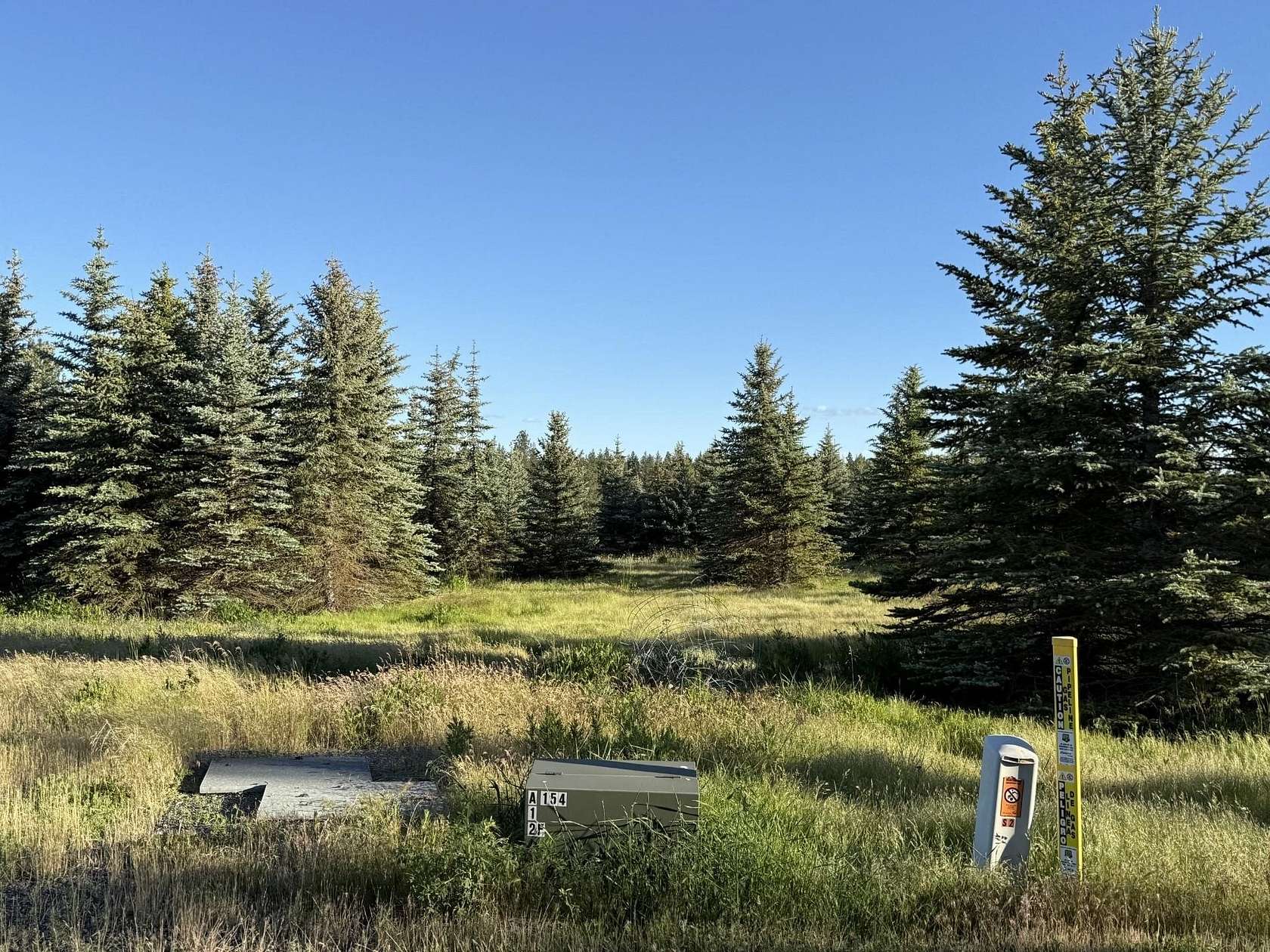 10.2 Acres of Land for Sale in Mica, Washington
