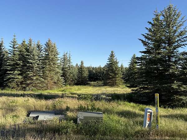 10.2 Acres of Land for Sale in Mica, Washington