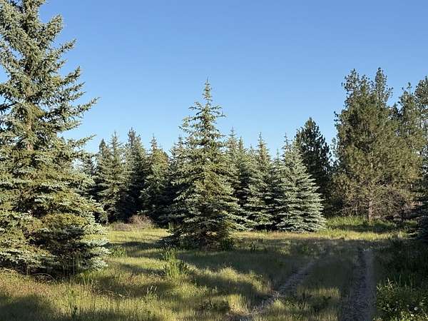 10.2 Acres of Land for Sale in Mica, Washington