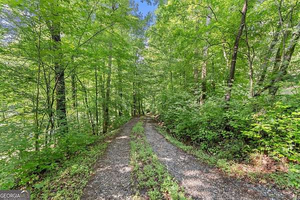 25.6 Acres of Recreational & Residential Land for Sale in Dahlonega, Georgia