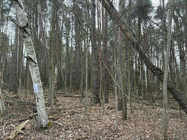 10 Acres of Land for Sale in Kent City, Michigan