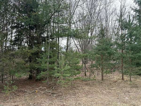 10.3 Acres of Land for Sale in Kent City, Michigan