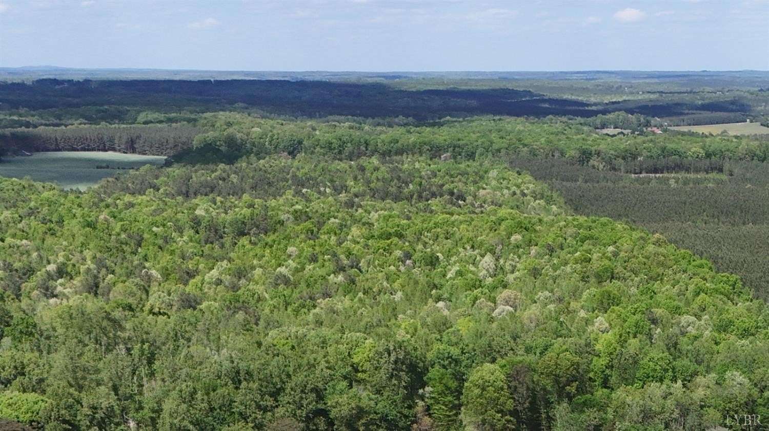 52.2 Acres of Land for Auction in Phenix, Virginia