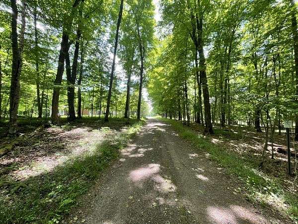 2.29 Acres of Mixed-Use Land for Sale in Winter, Wisconsin