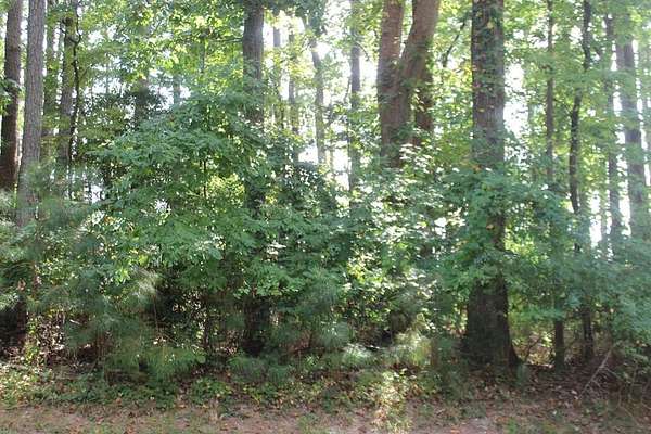 0.24 Acres of Residential Land for Sale in Greenbackville, Virginia