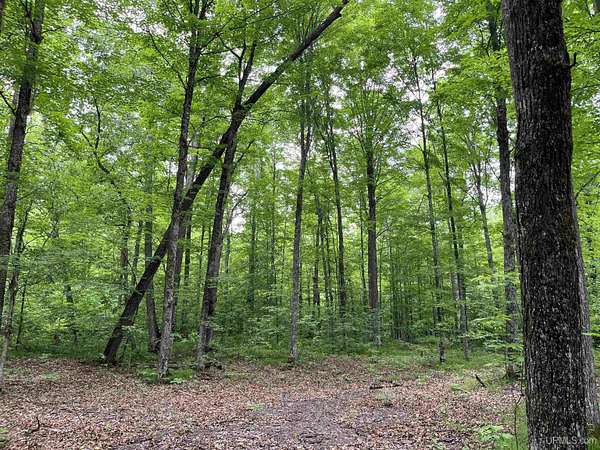3 Acres of Land for Sale in Fern Town, Wisconsin