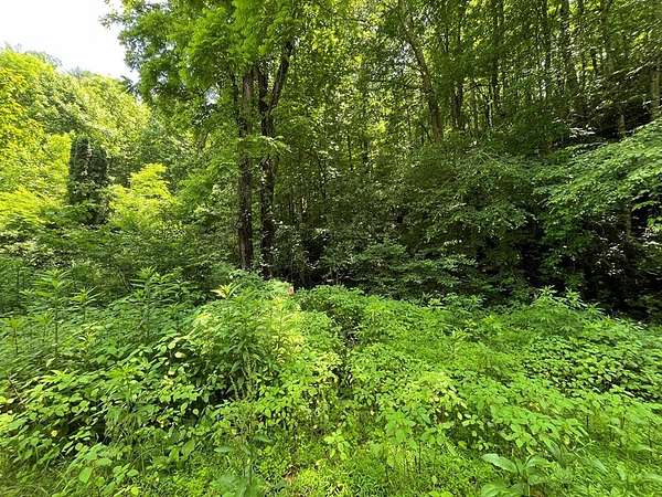 7.3 Acres of Residential Land for Sale in Franklin, North Carolina