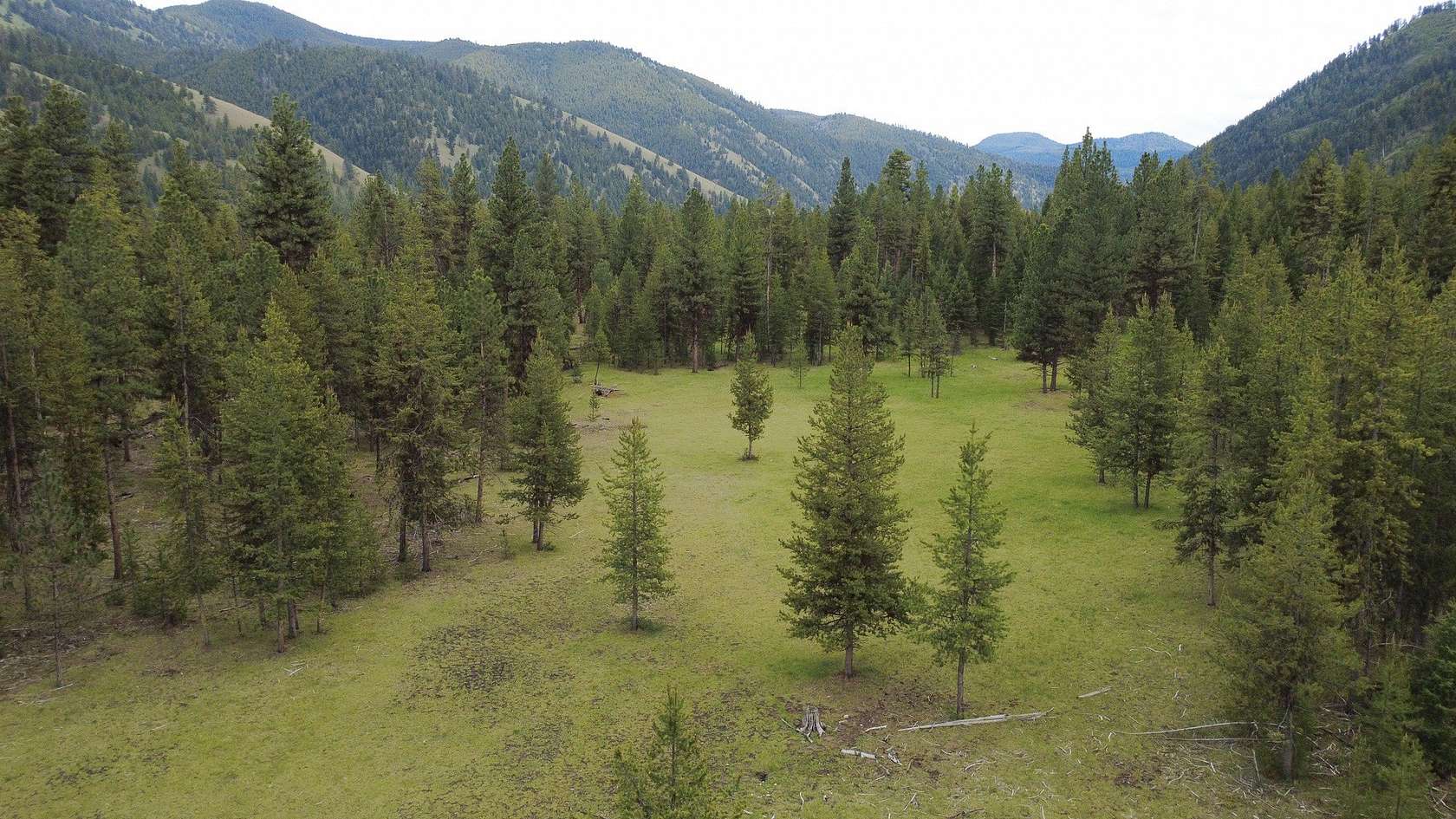 10 Acres of Recreational Land for Sale in Darby, Montana