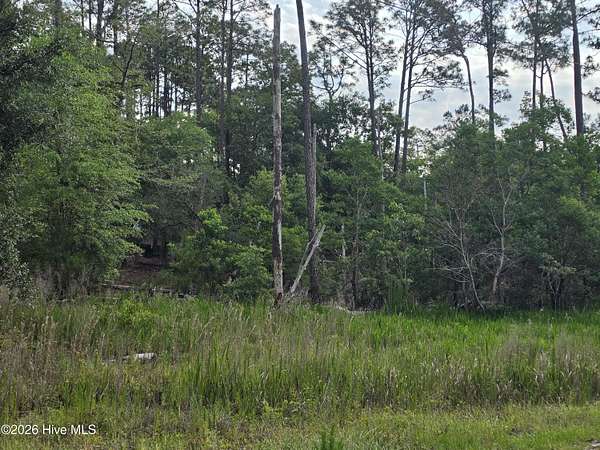 0.24 Acres of Residential Land for Sale in Southport, North Carolina