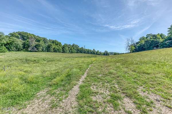 45.5 Acres of Land for Sale in Telford, Tennessee