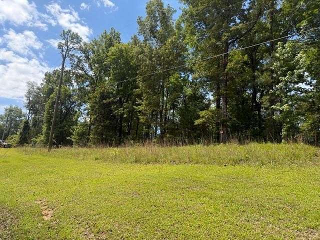 1 Acre of Residential Land for Sale in Georgetown, Georgia