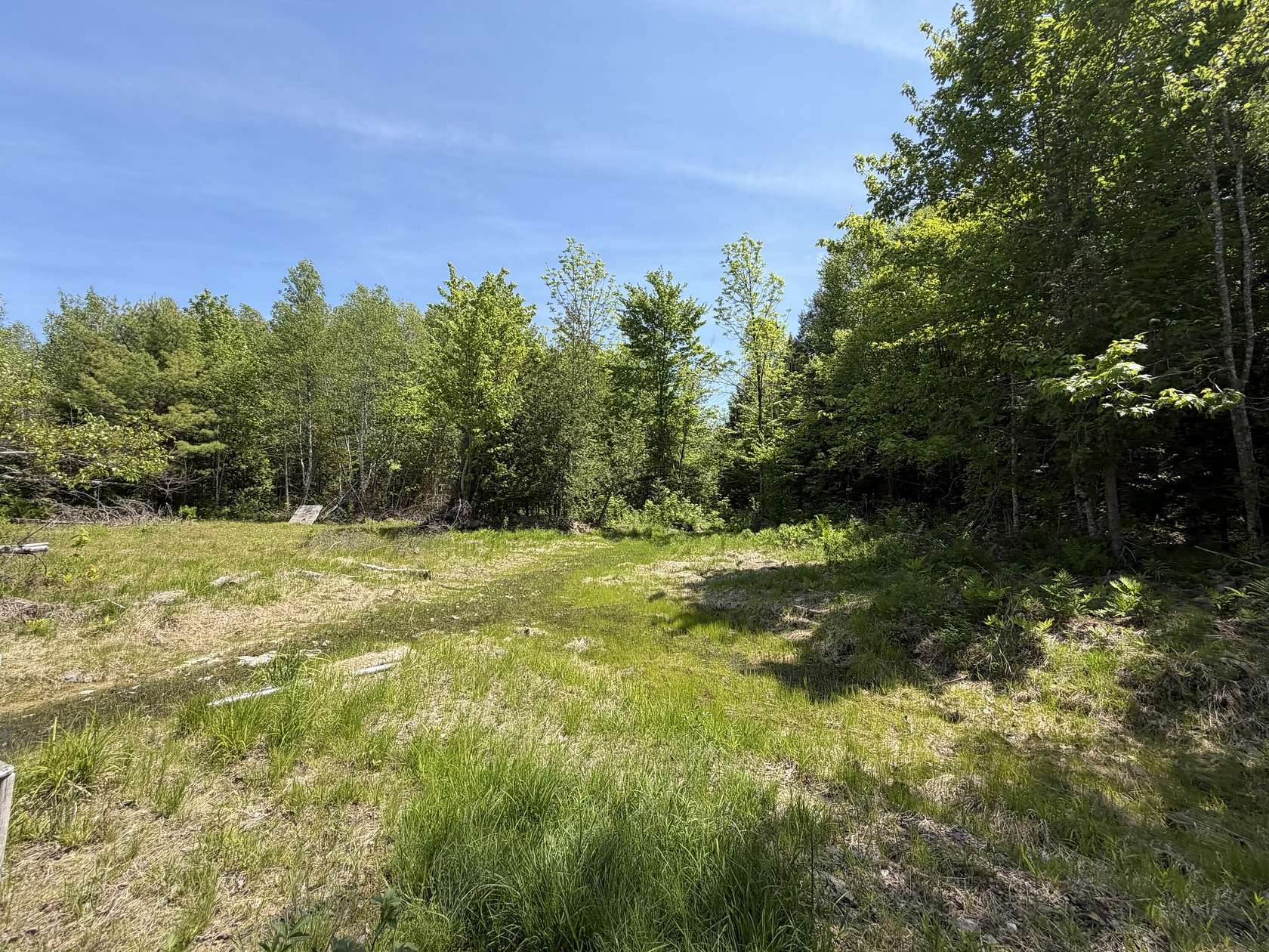 42.3 Acres of Recreational & Residential Land for Sale in Springfield, Maine