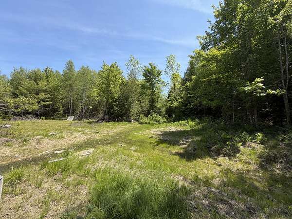 42.3 Acres of Recreational & Residential Land for Sale in Springfield, Maine
